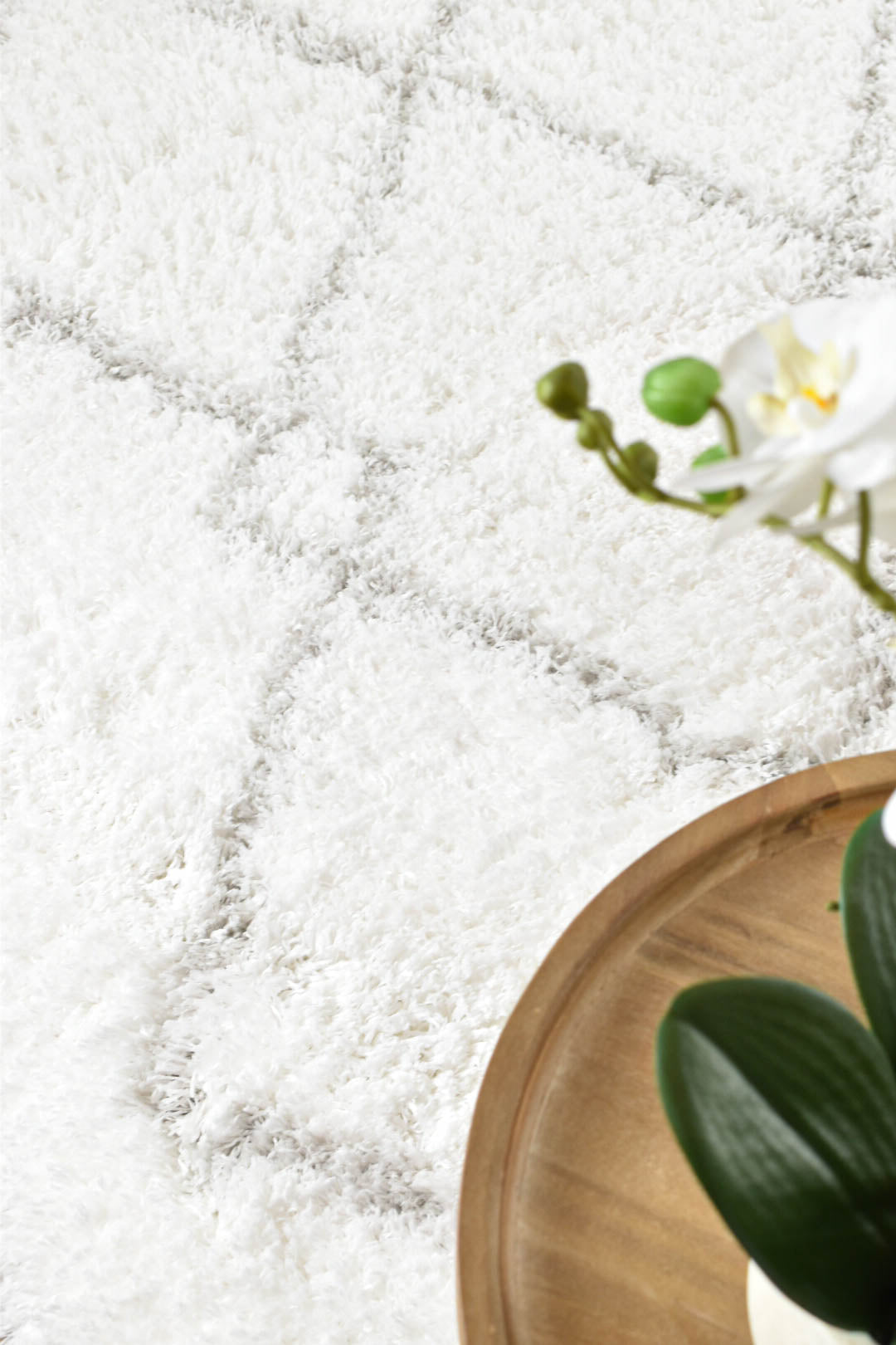 Mascot White Rug 8744A