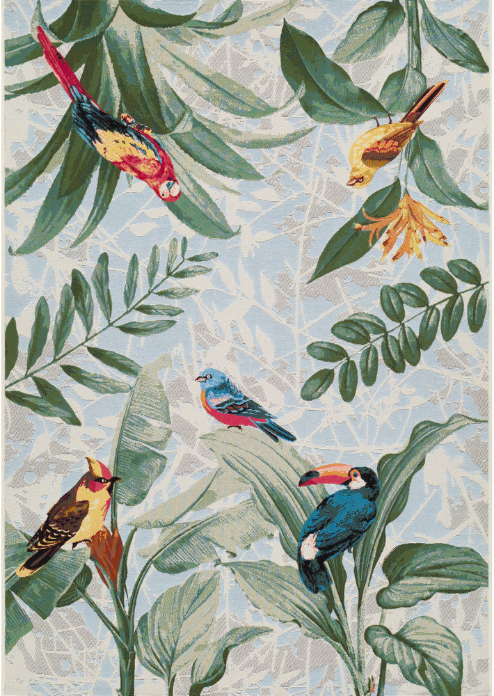 Paradise Birds