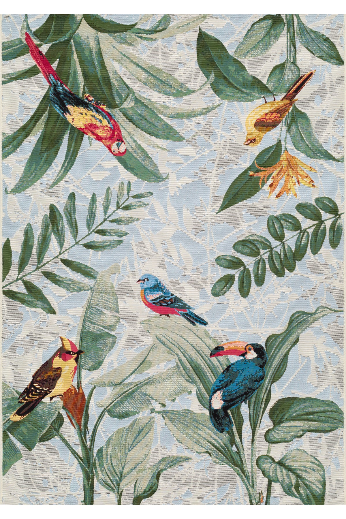 Paradise Birds