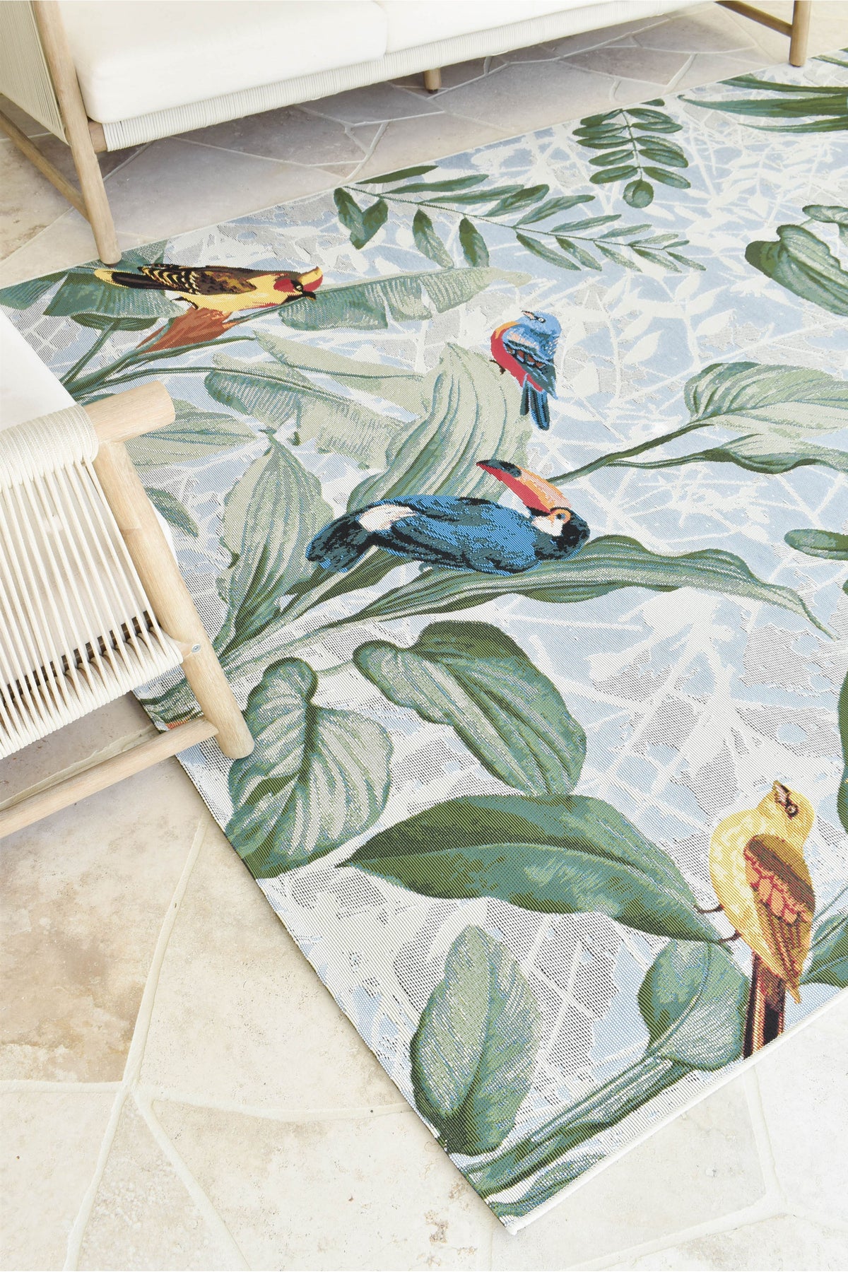 Paradise Birds
