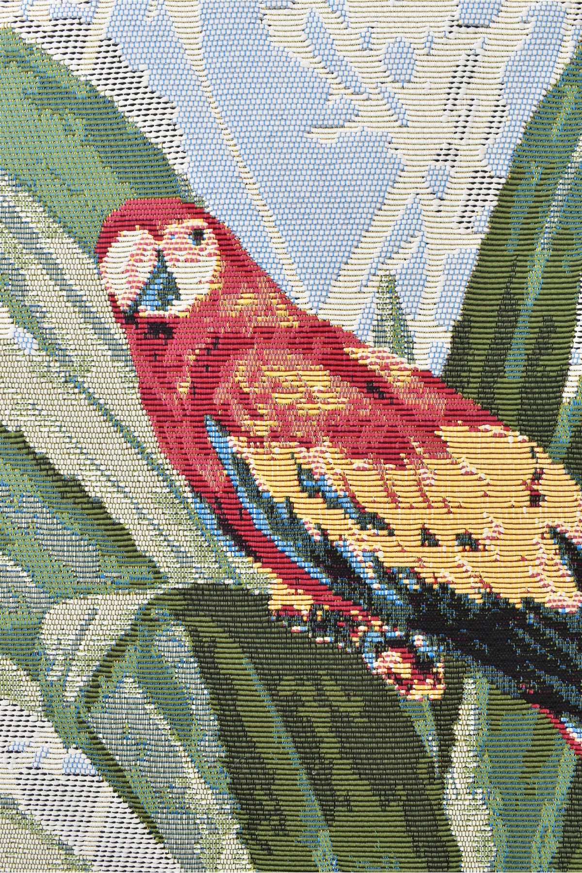 Paradise Birds