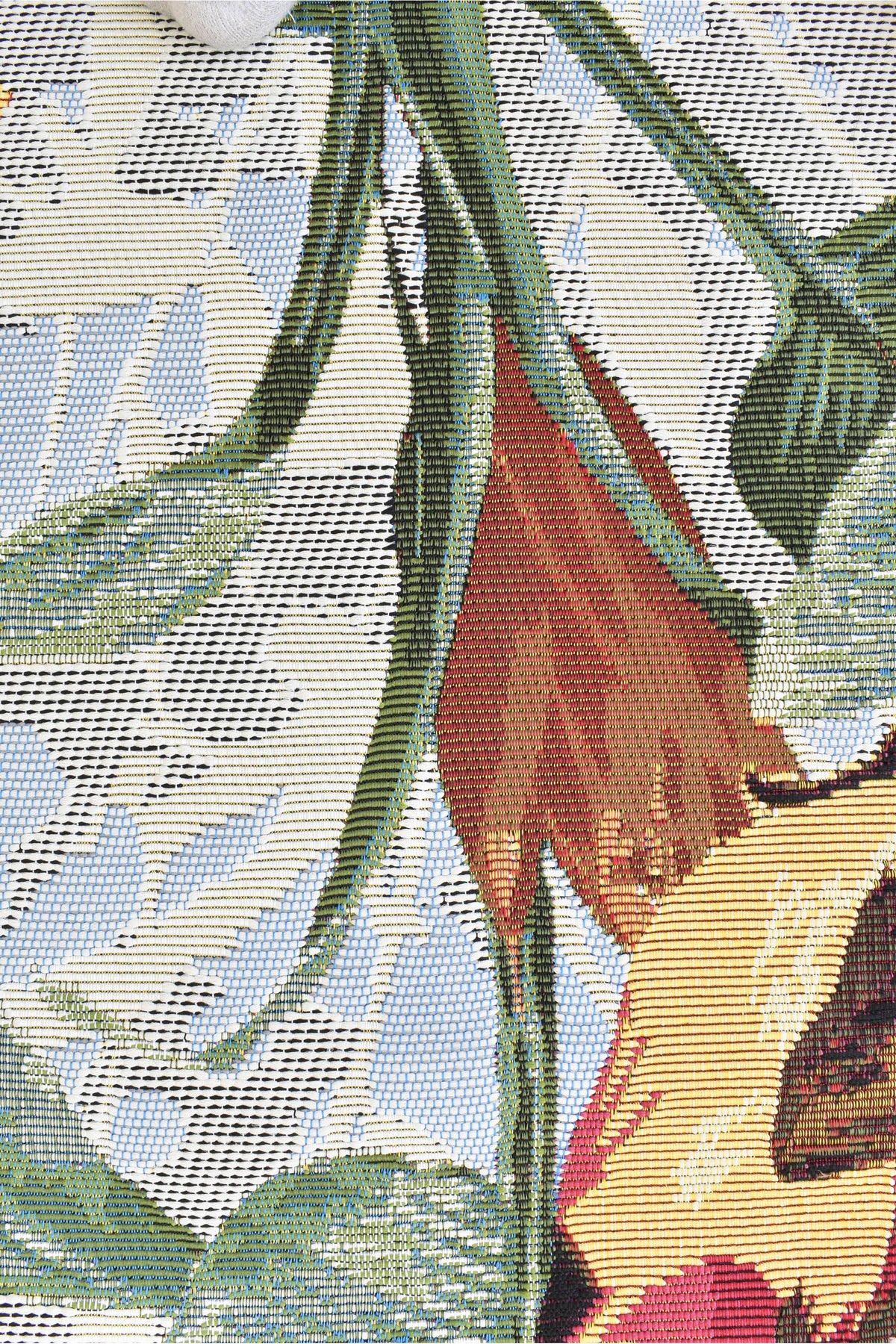 Paradise Birds