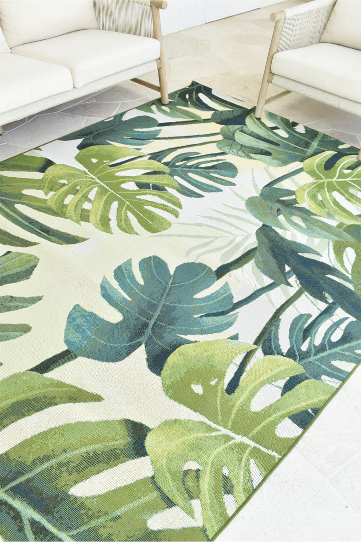 Paradise Tropics
